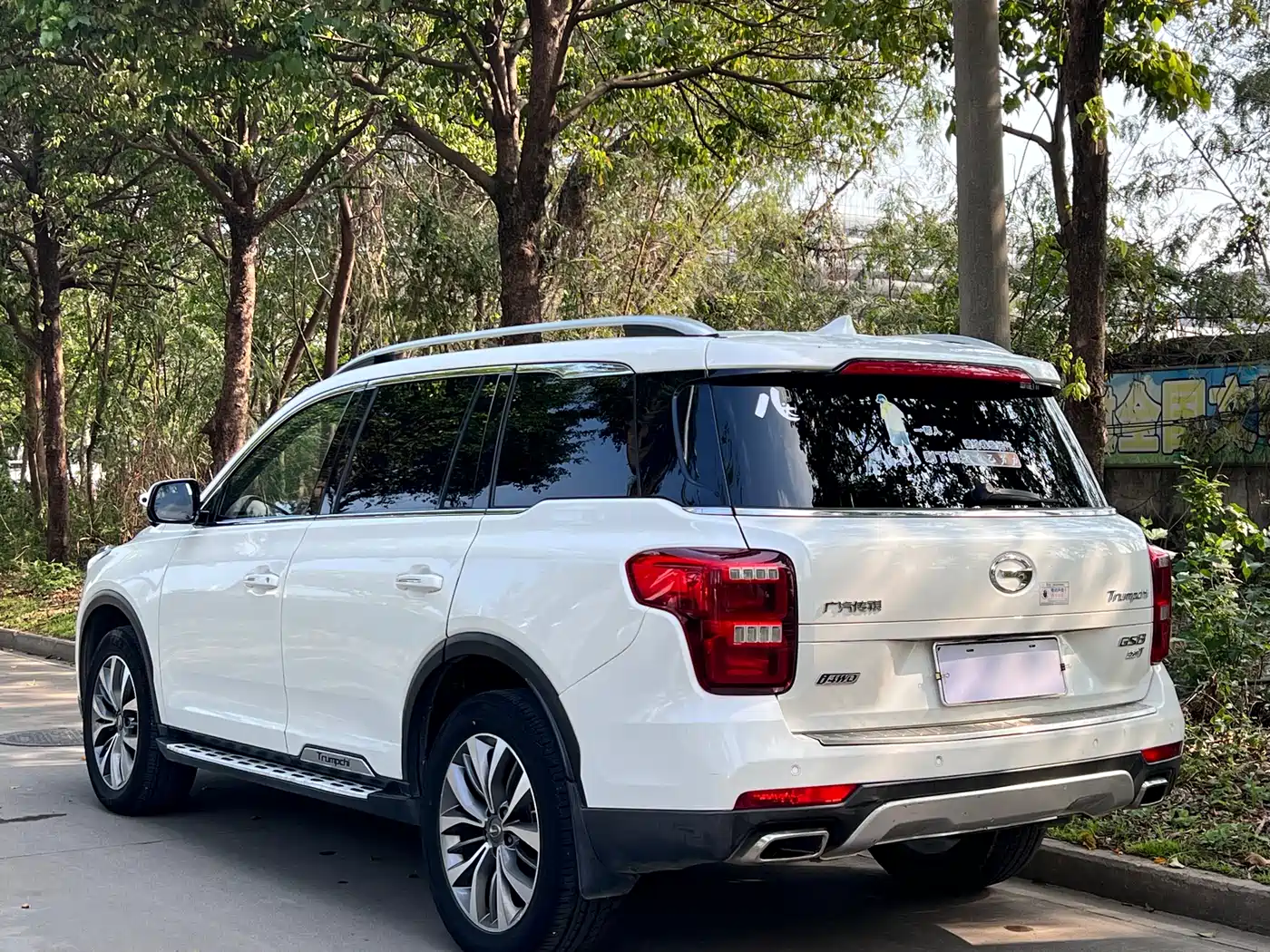 GAC Trumpchi Trumpchi GS8 2017 320T AWD Luxury Smart Connect (7-Seater) фото 9