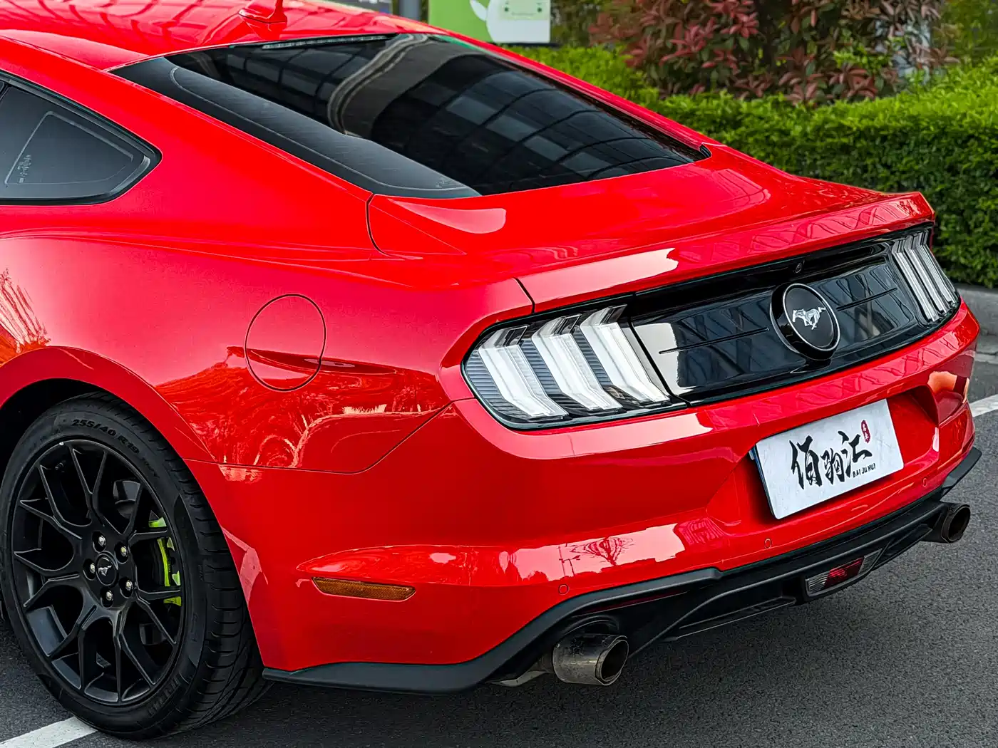 FORD MUSTANG