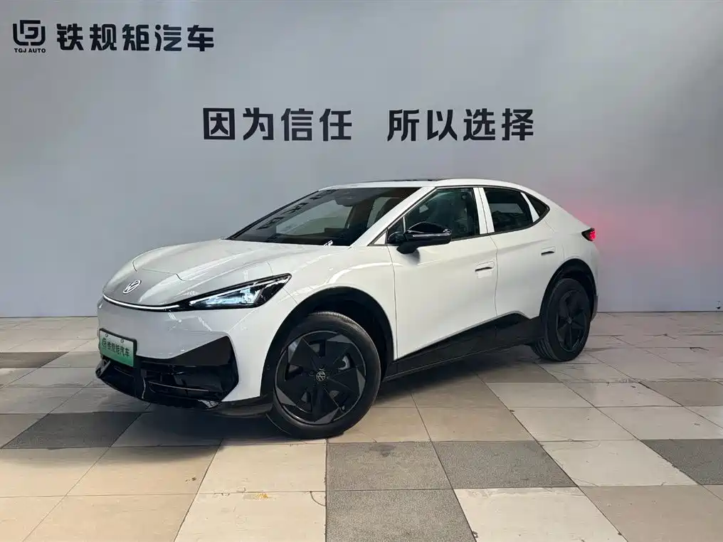 VOLKSWAGEN WITH THE CROWD 06