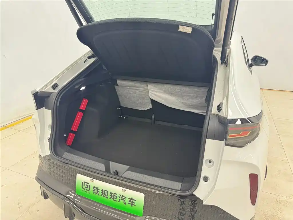 VOLKSWAGEN WITH THE CROWD 06