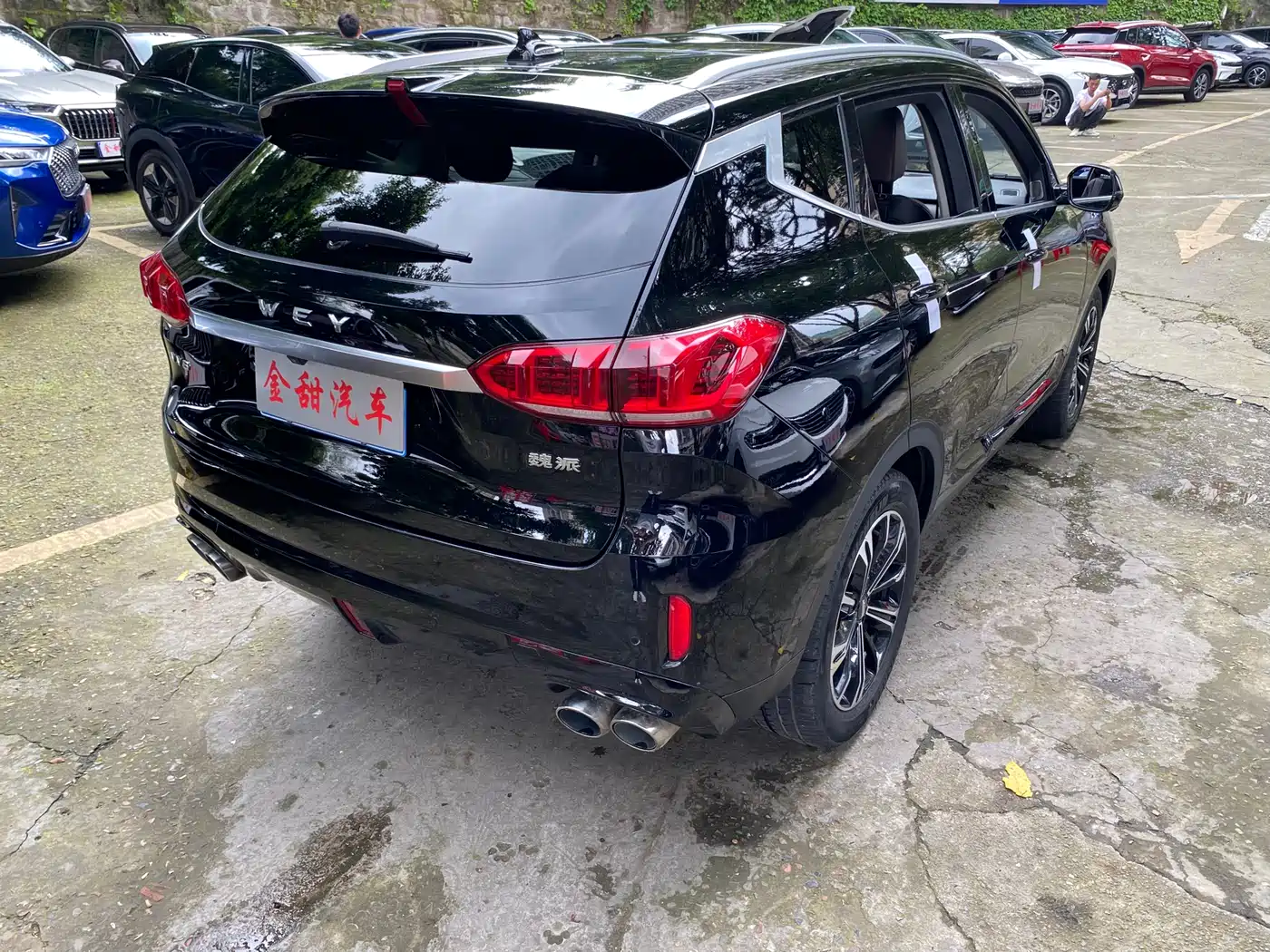 WEI PAI WEI BRAND VV6