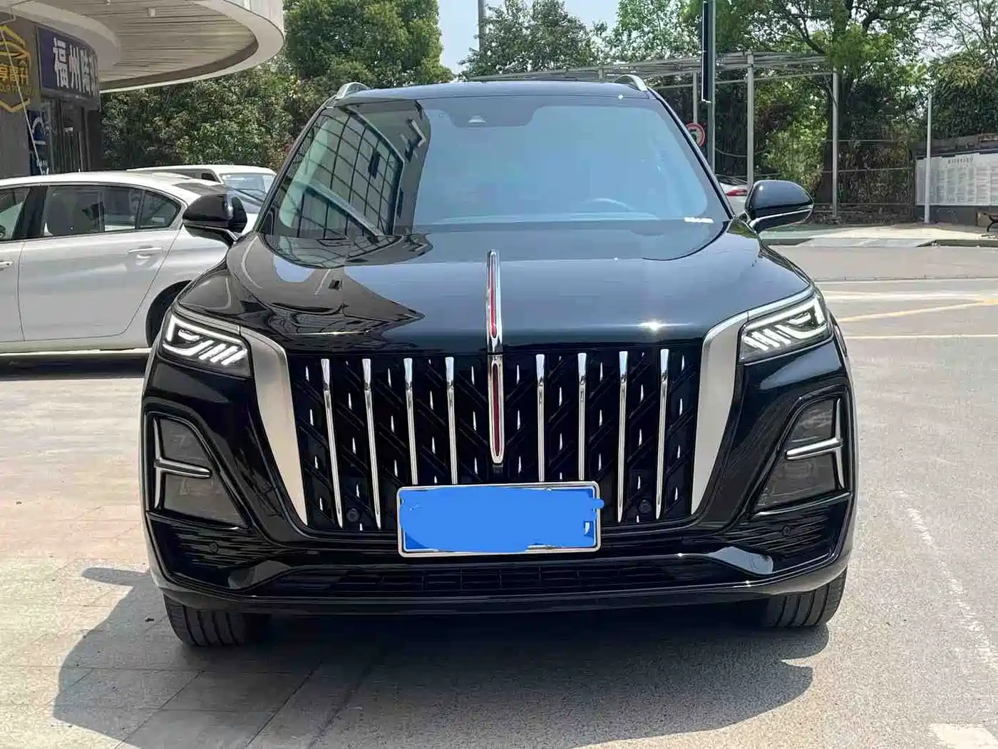 Hongqi HS5 2023 2.0T Flag Joy Pro Edition фото 2