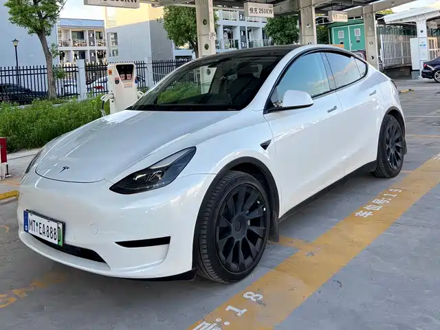 Tesla Model Y 2022 Rear-Wheel Drive Version
