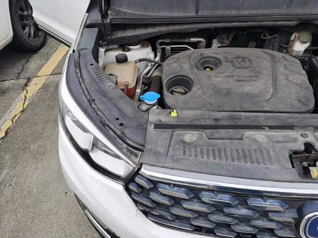 Changan CS55 2019 2019 1.5T Manual Colorful China VI