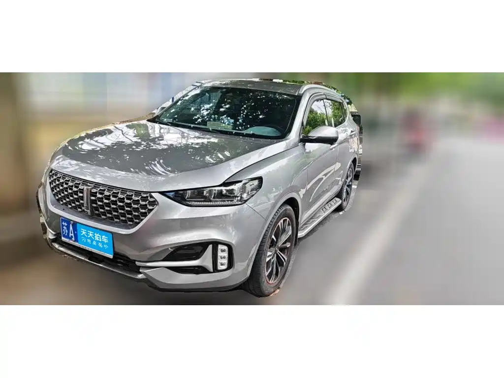 WEY VV6 2021 2021 2.0T 2WD Smart Enjoyment+
