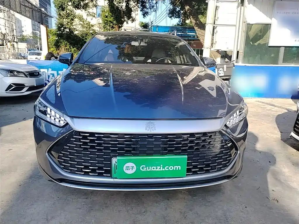 BYD Qin PLUS 2024 Glory Edition DM-i 55KM Leading фото 3