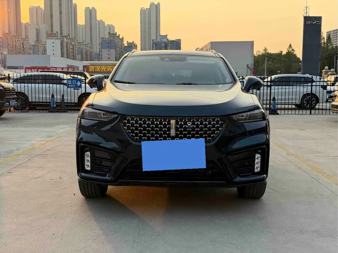 WEY VV7 2021 2021 Model 2.0T Technology Edition