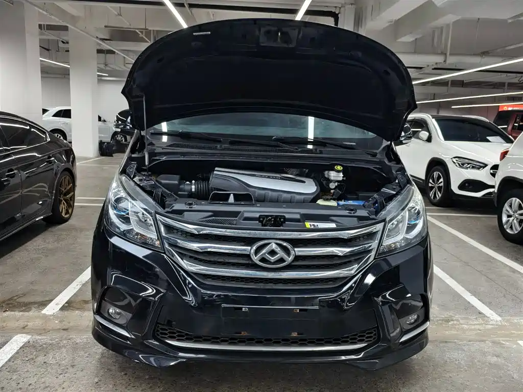 SAIC MAXUS CHASE G10