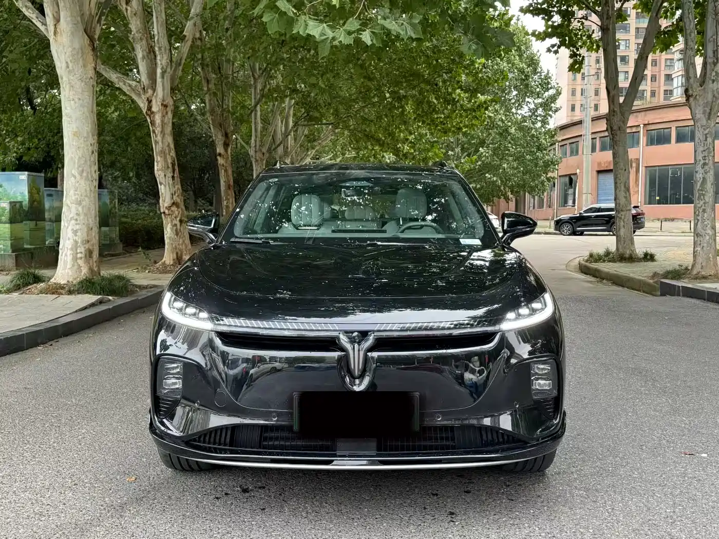 Voyah Auto Voyah Zhiyin 2024 Long Range Super Charging Edition фото 2