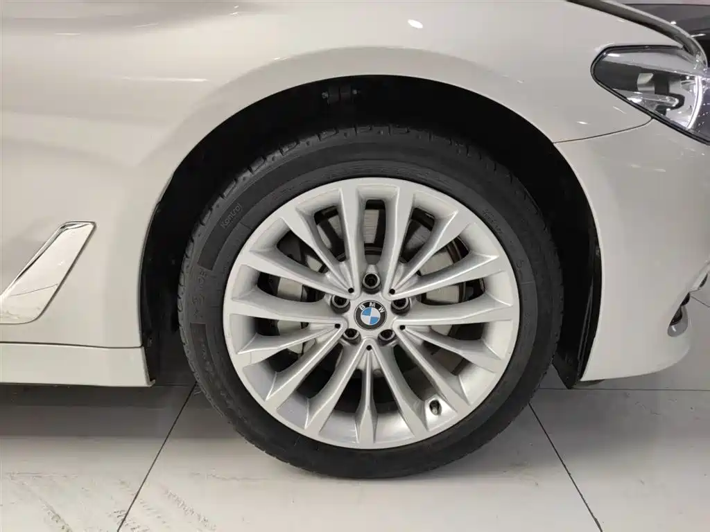 BMW 5 Series 2019 530Li Leading Luxury Package фото 16