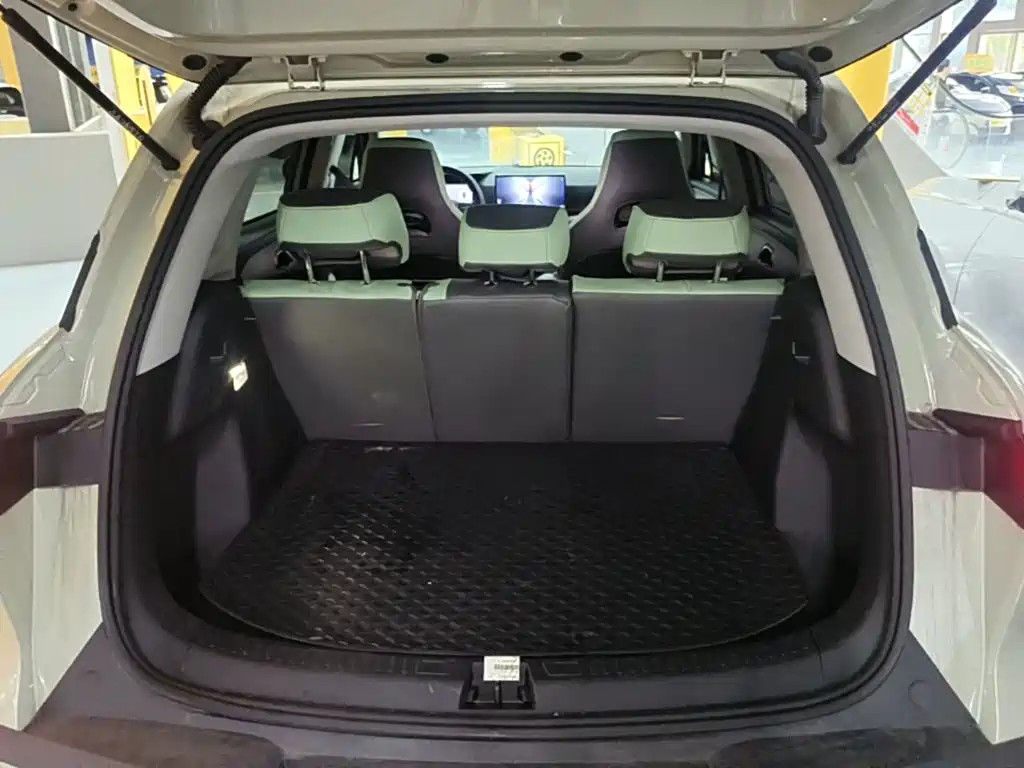 BYD Yuan UP 2025 2025 Smart Drive Edition 401KM Vitality Version