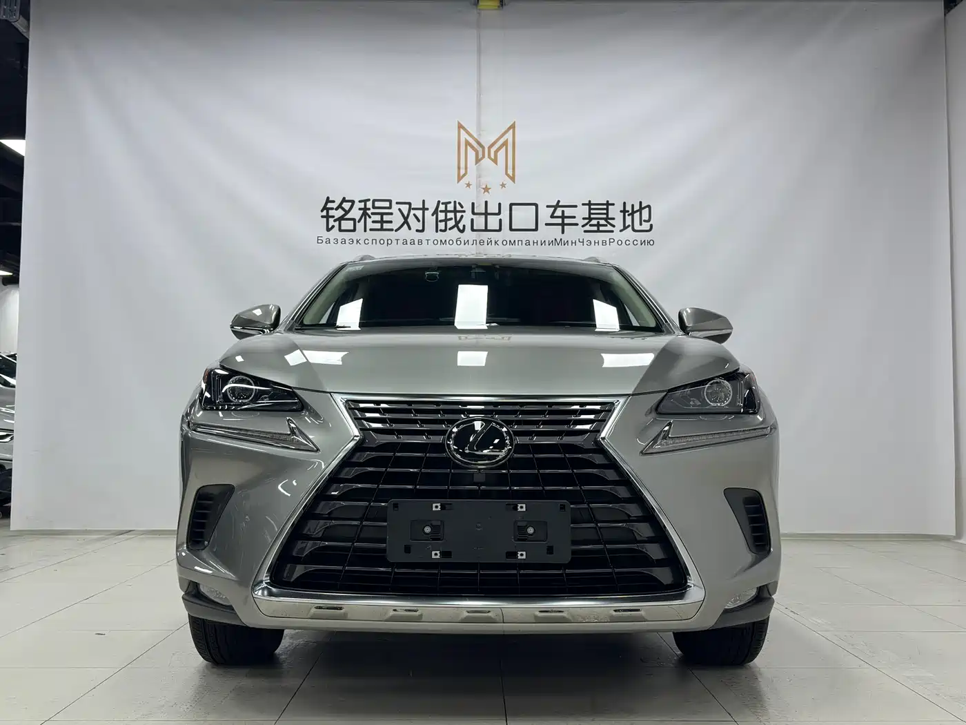 Lexus NX, миниатюра 2