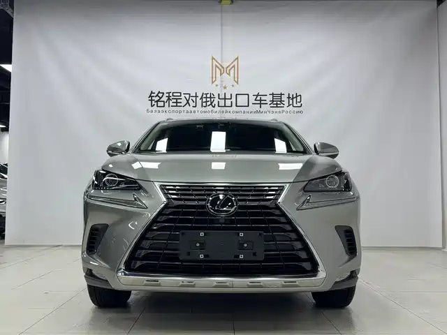 Lexus NX 2020 200 AWD F Sport China V — фото 2
