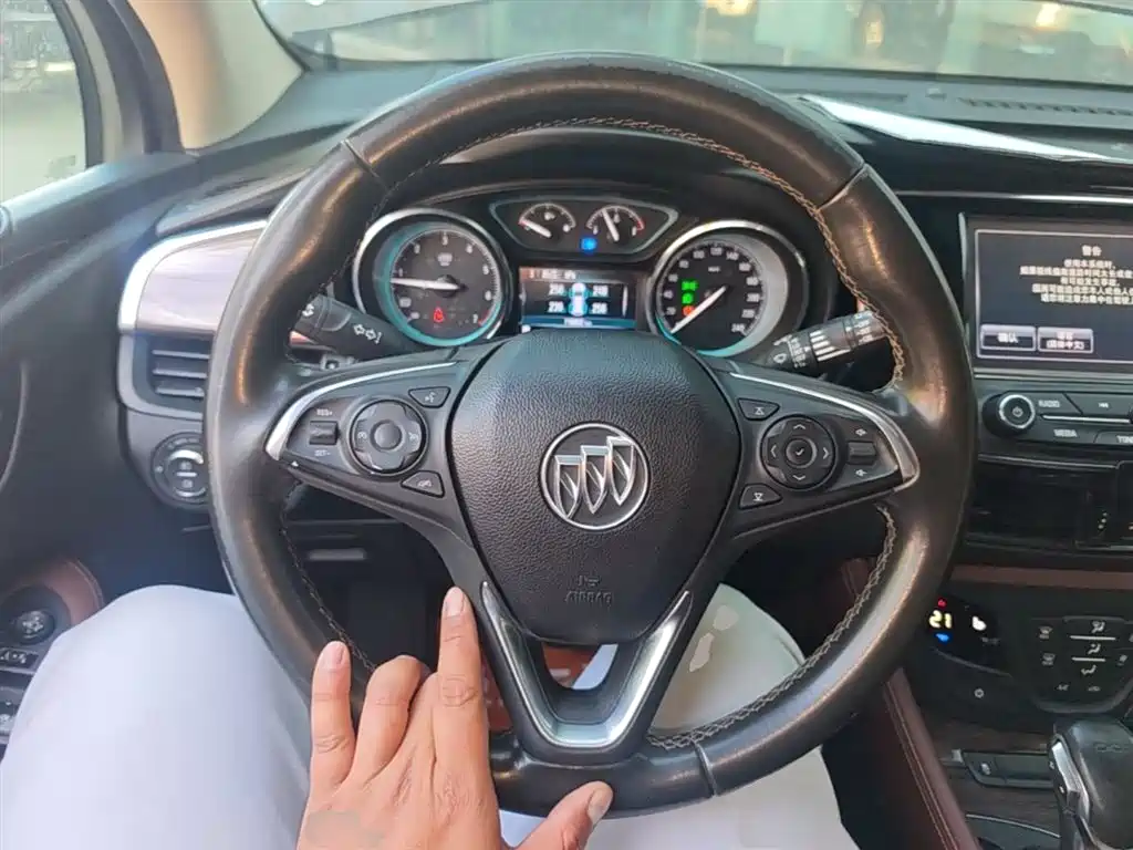 Buick Envision Plus 2017 20T 2WD Luxury фото 7