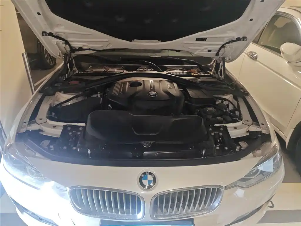 BMW 3 Series 2019 320Li Fashion Type фото 11