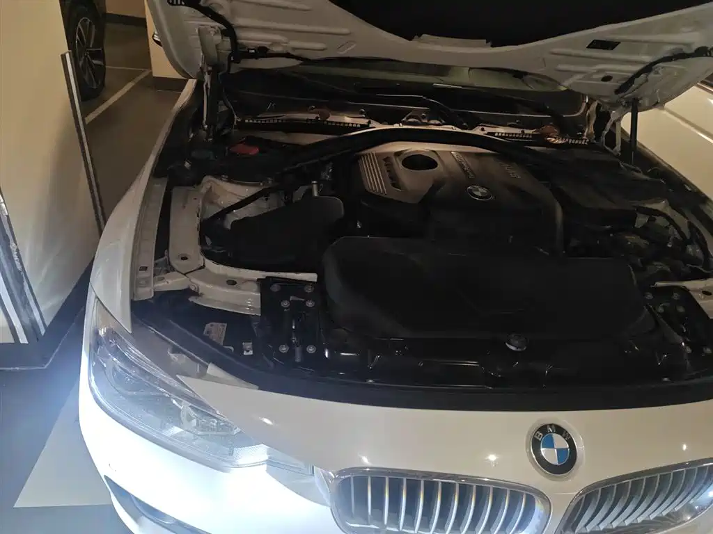 BMW 3 Series 2019 320Li Fashion Type фото 21
