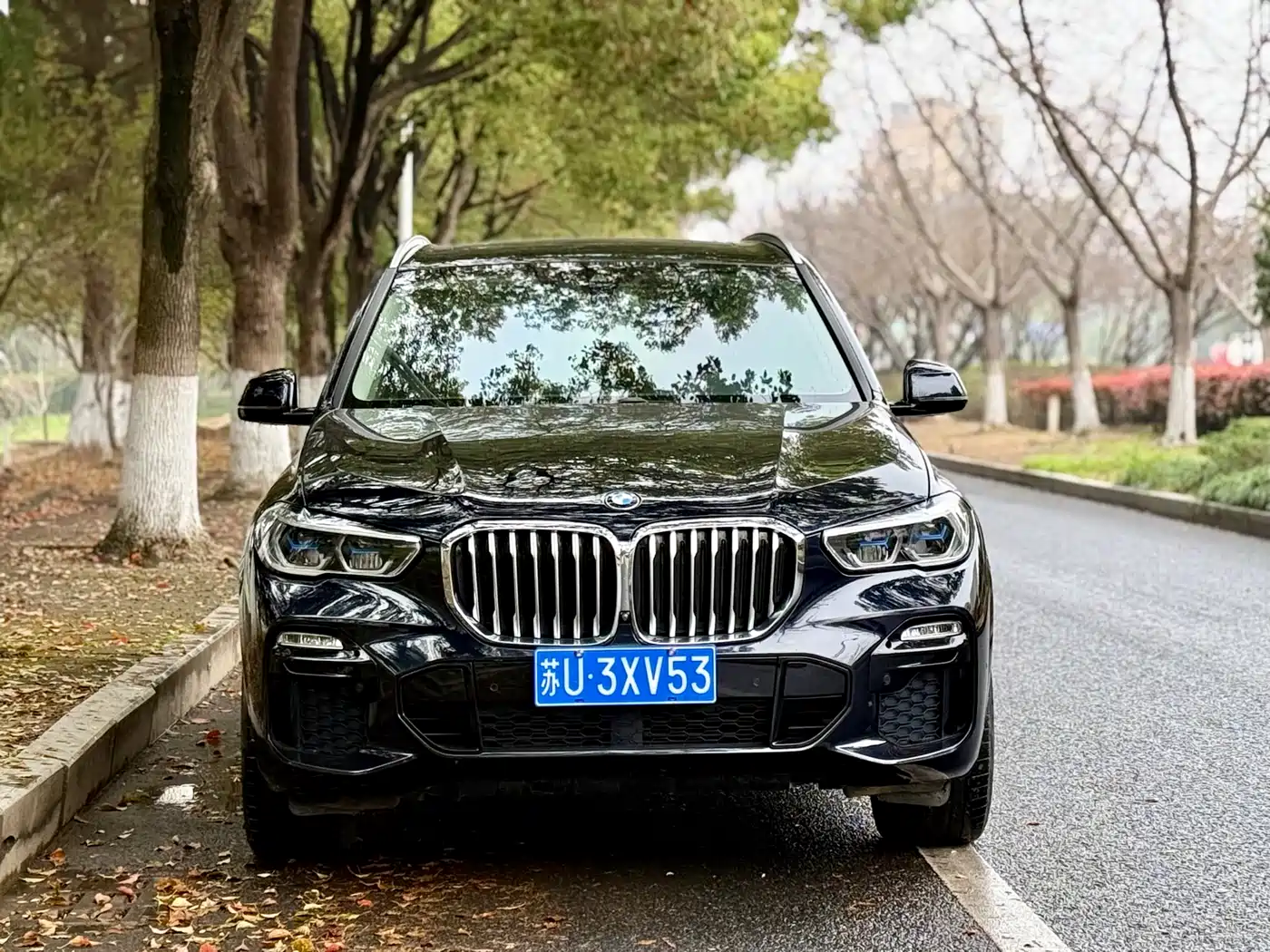 BMW X5 (Import) 2021 xDrive40i M Sport Package фото 2