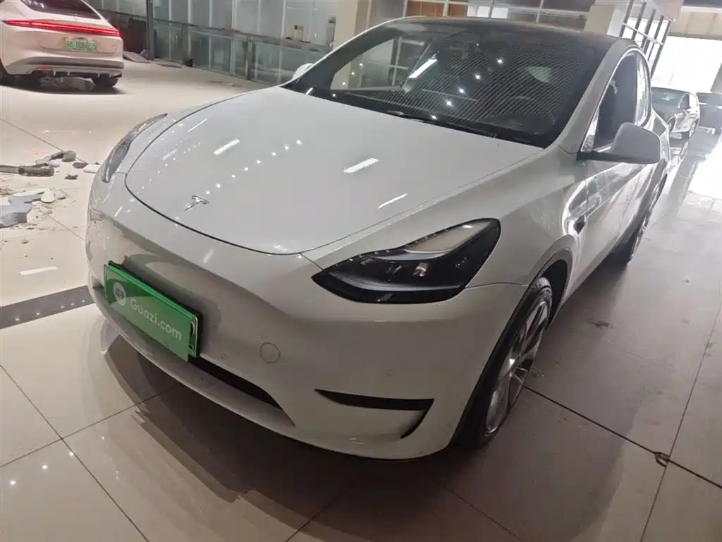 Tesla Model Y 2022 Rear-Wheel Drive Version
