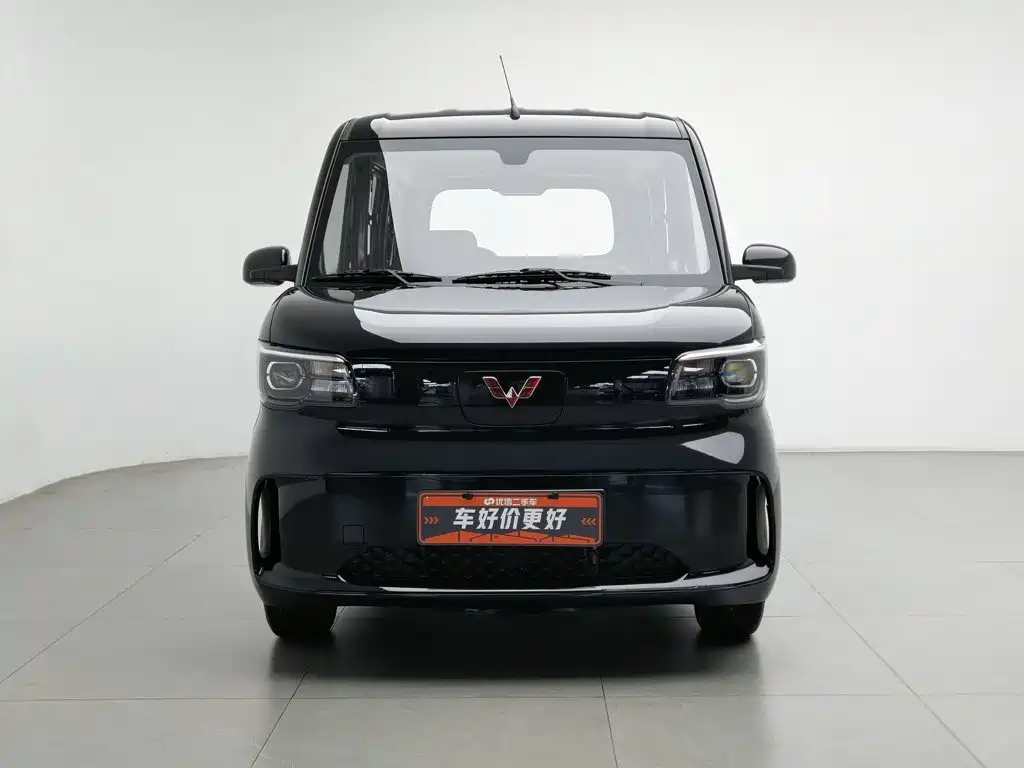 Wuling Motors Wuling Zhiguang NEV 2025 2025 Standard Version