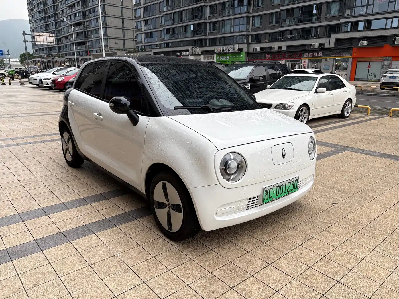 Ora Black Cat 2022 2022 301km Base NCM