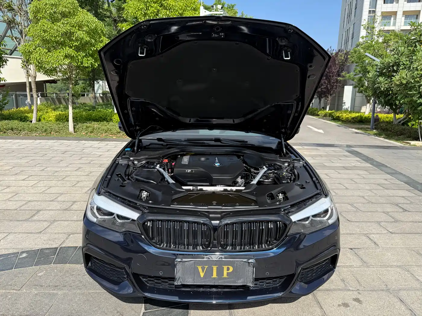BMW 5 Series 2019 Facelift 530Li Leading M Sport Package фото 32