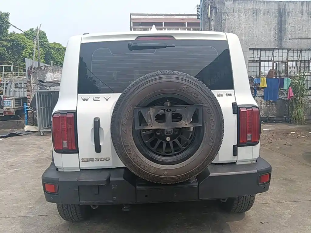 Tank 300 2021 2021 Off-road Version 2.0T Conqueror