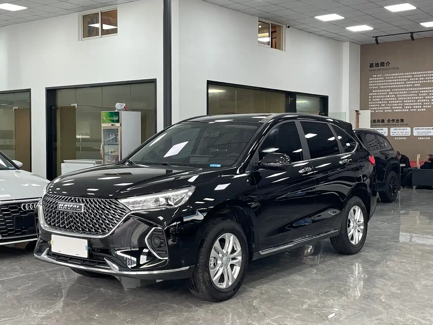 HAVAL M6