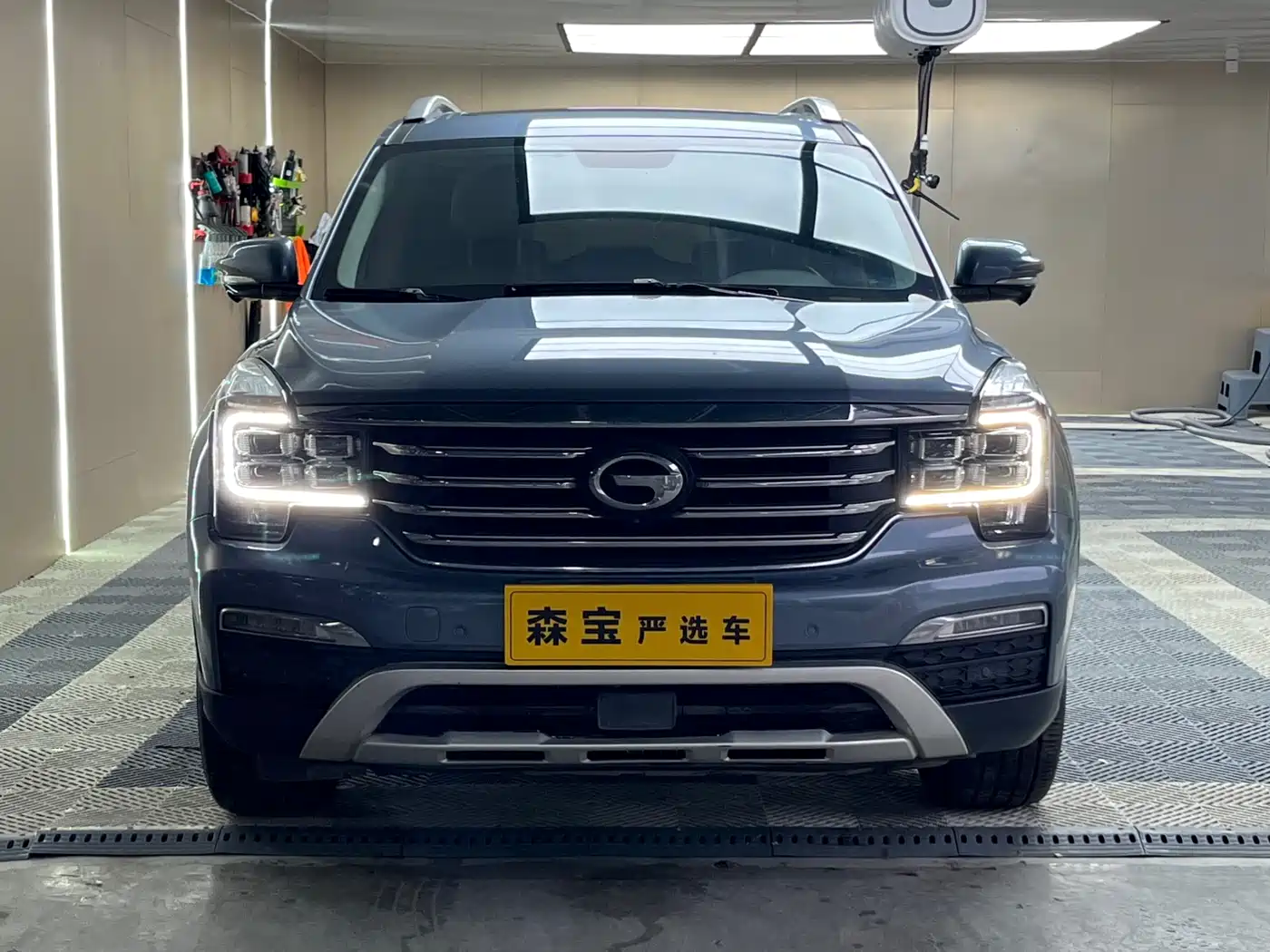 GAC Trumpchi Trumpchi GS8 2017 320T 2WD Luxury Smart Connect (7-seater) фото 2