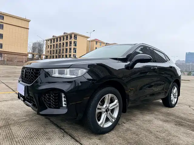 WEI PAI WEI BRAND VV5