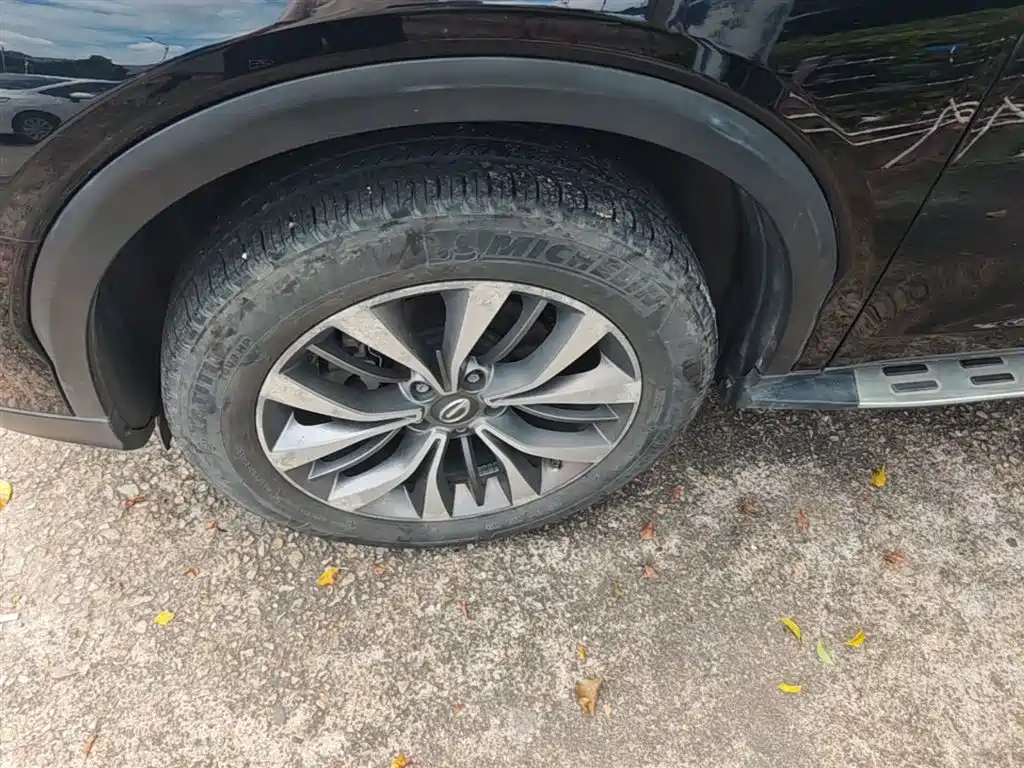 GAC Trumpchi Trumpchi GS8 2017 320T AWD Luxury Smart Connect (7-Seater) фото 23