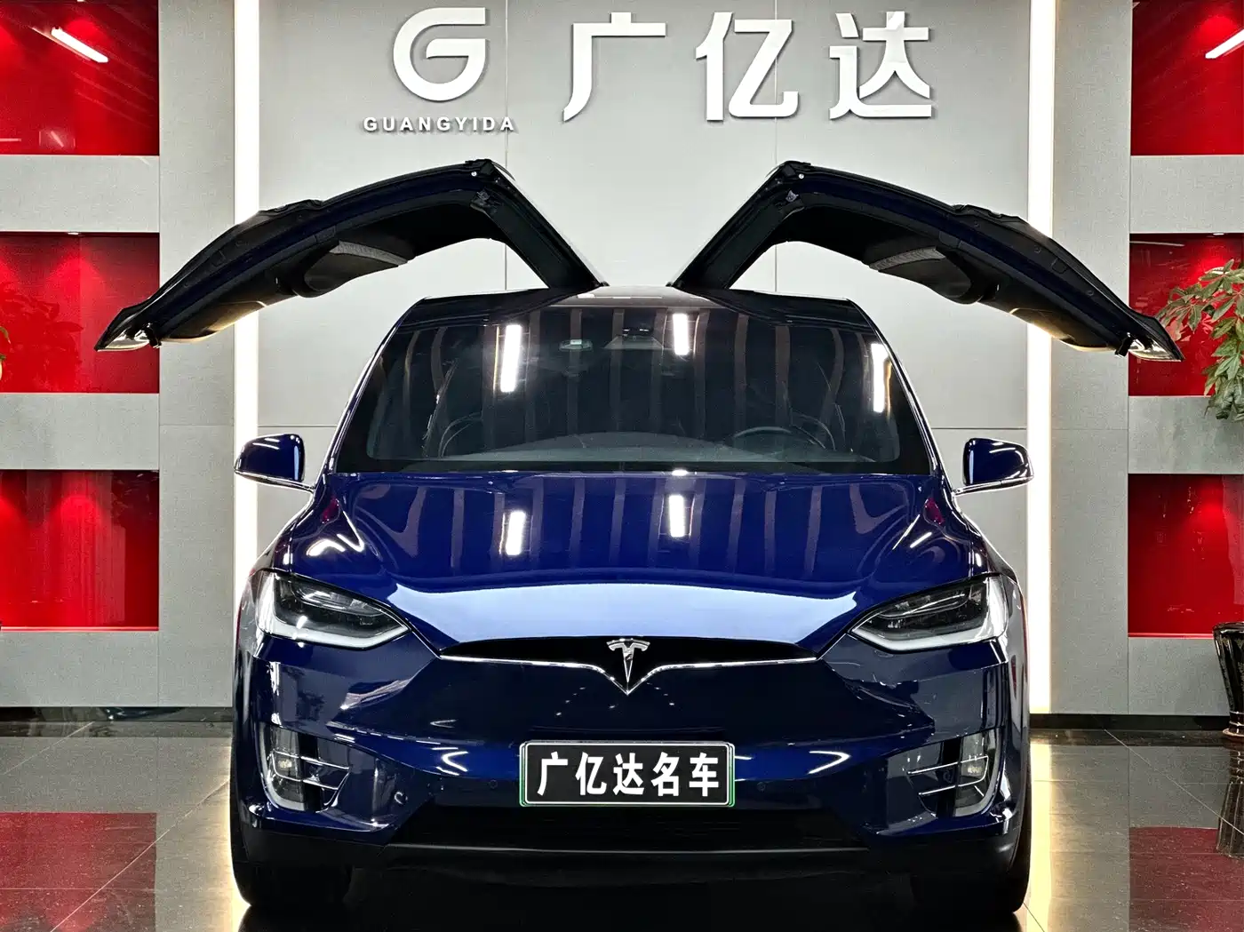 TESLA MODEL X