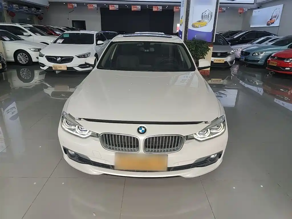 BMW 3 Series 2018 318Li фото 3