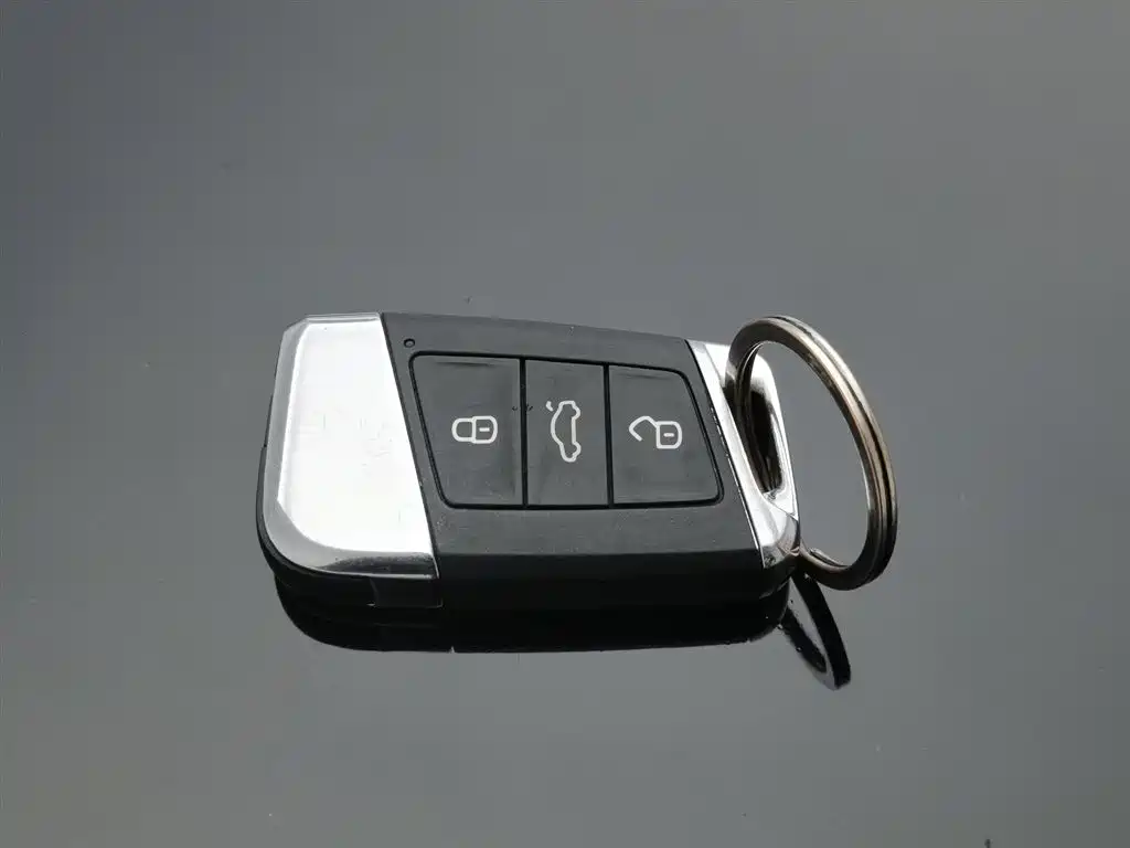 VOLKSWAGEN PASSAT NEW ENERGY