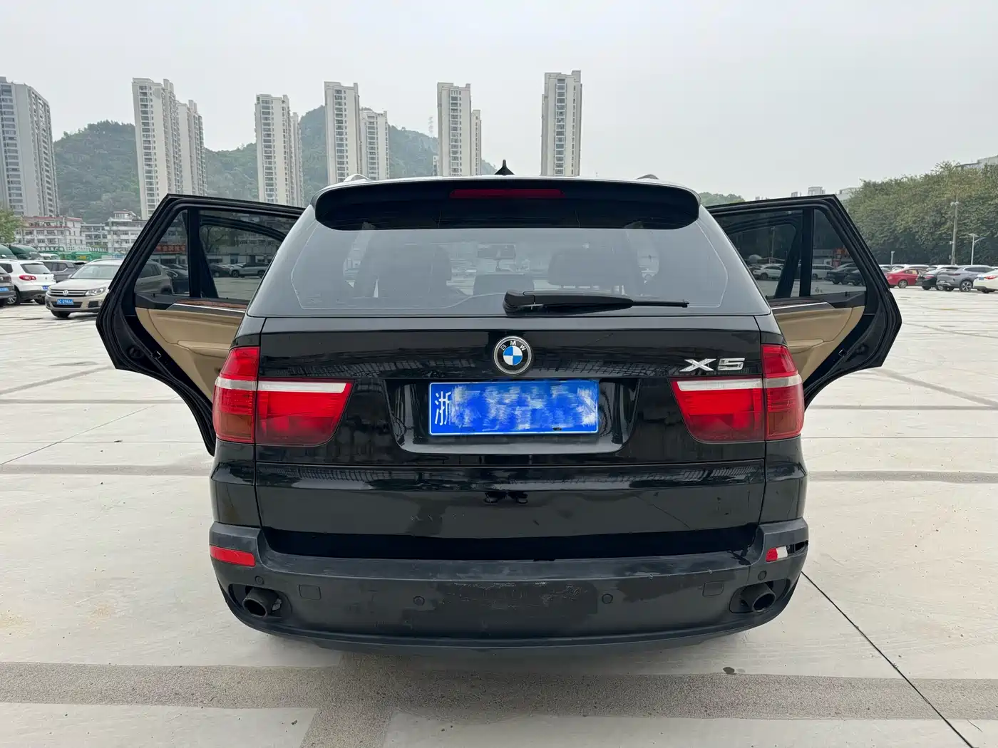 BMW X5 (Import) 2009 xDrive30i Luxury фото 6