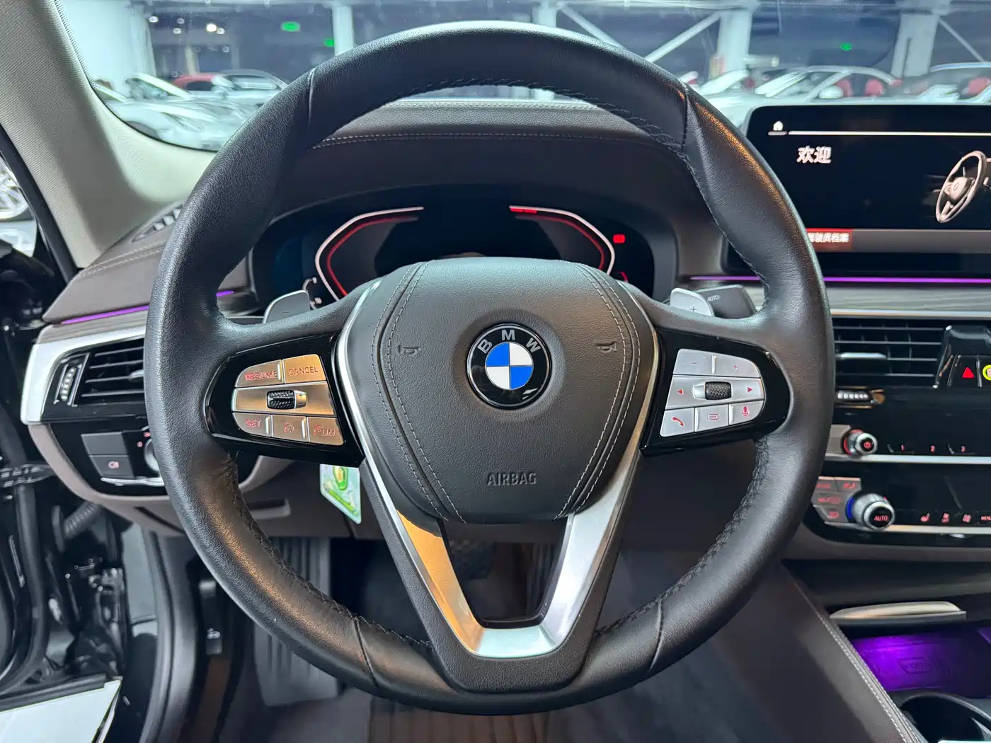 BMW 5 Series 2022 530Li Leading Luxury Package фото 8
