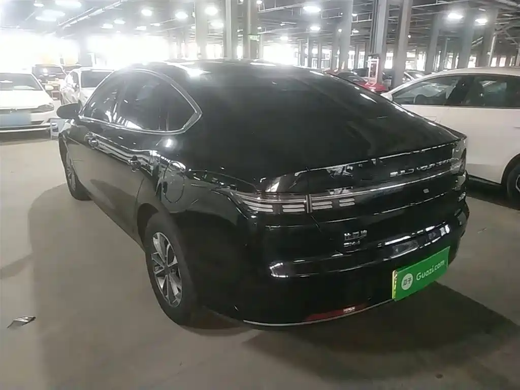 BYD Destroyer 05 2024 Glory Edition DM-i 55KM Luxury фото 5