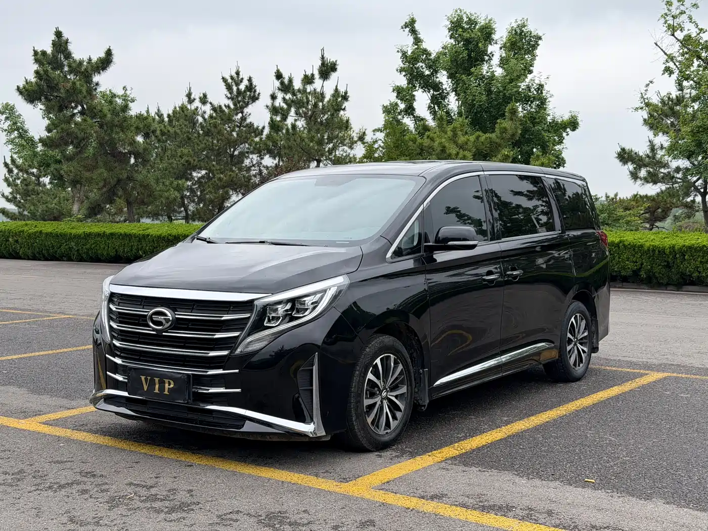 GAC Trumpchi Trumpchi M8 2021 Leading Show Series 390T Premium Edition фото 3