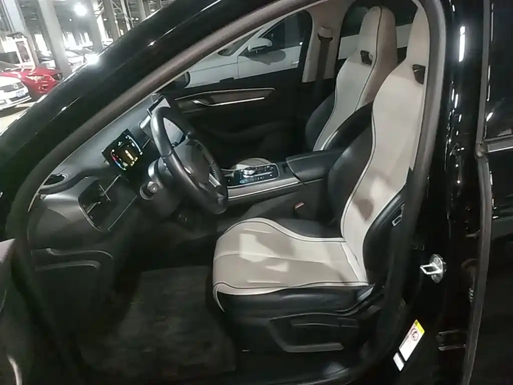 BYD Destroyer 05 2024 Glory Edition DM-i 55KM Luxury фото 15