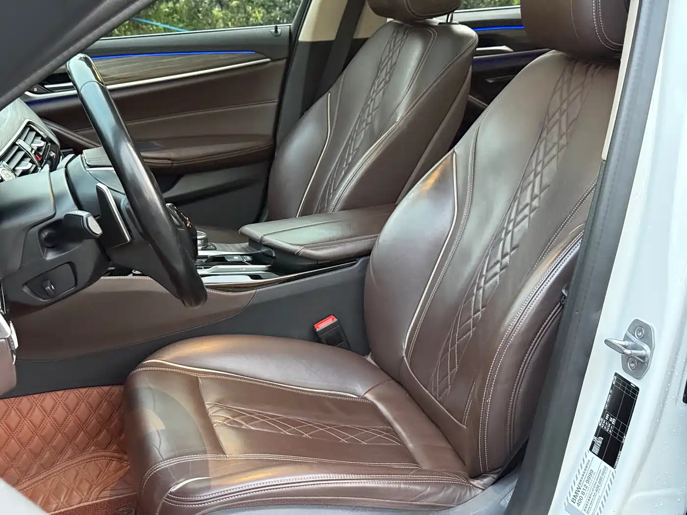 BMW 5 Series 2019 530Li Leading Luxury Package фото 15