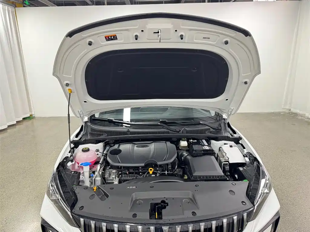 GEELY AUTOMOBILE BINRUI