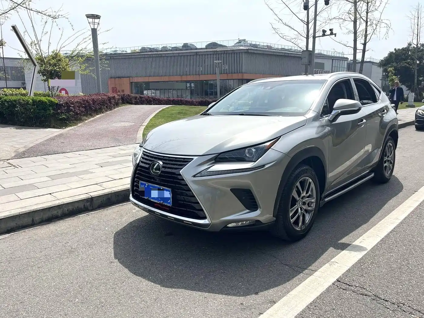 LEXUS NX