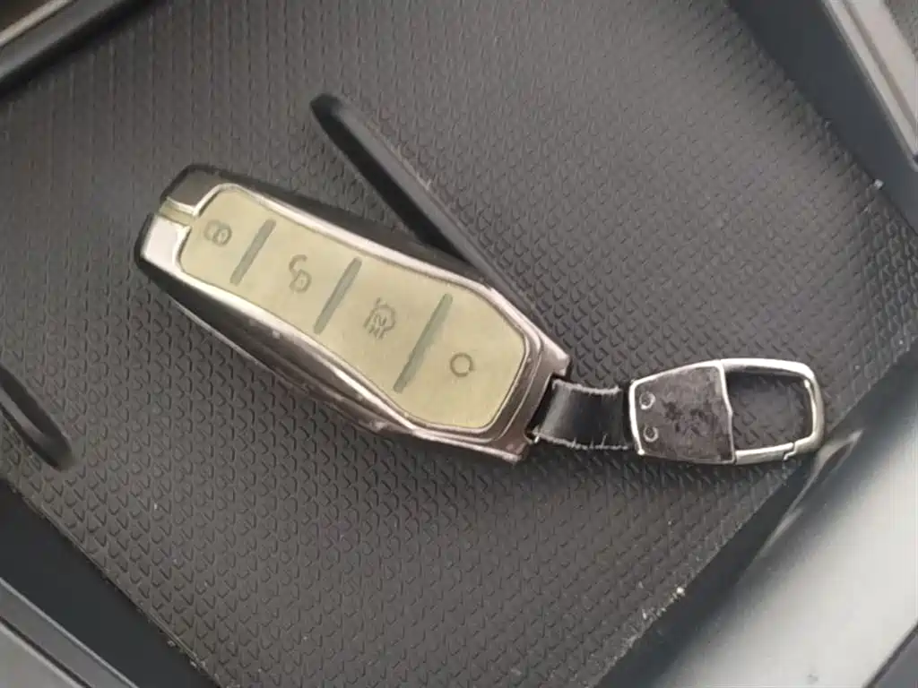 BYD Qin L 2024 DM-i 80KM Leading Edition фото 9