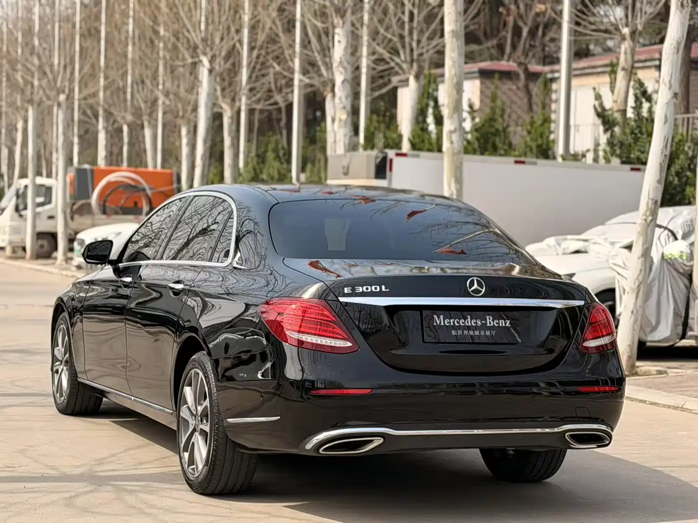 Mercedes-Benz E-Class 2019 E 200 L фото 4