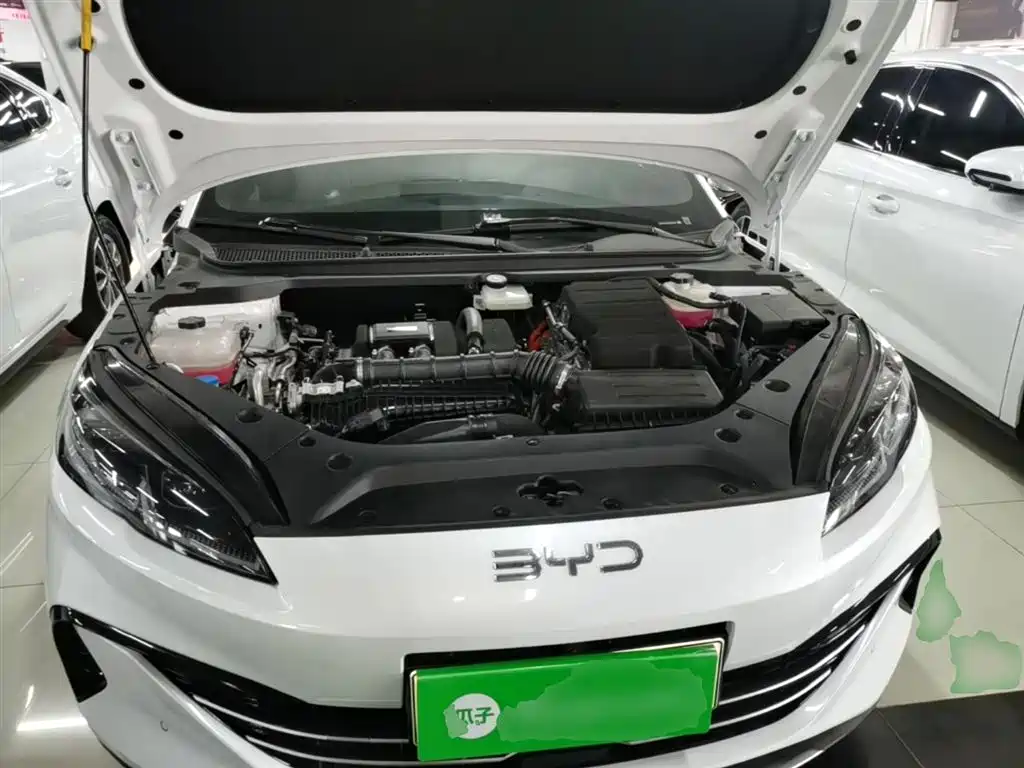 BYD Seal 06 New Energy 2024 DM-i 120KM Flagship фото 20