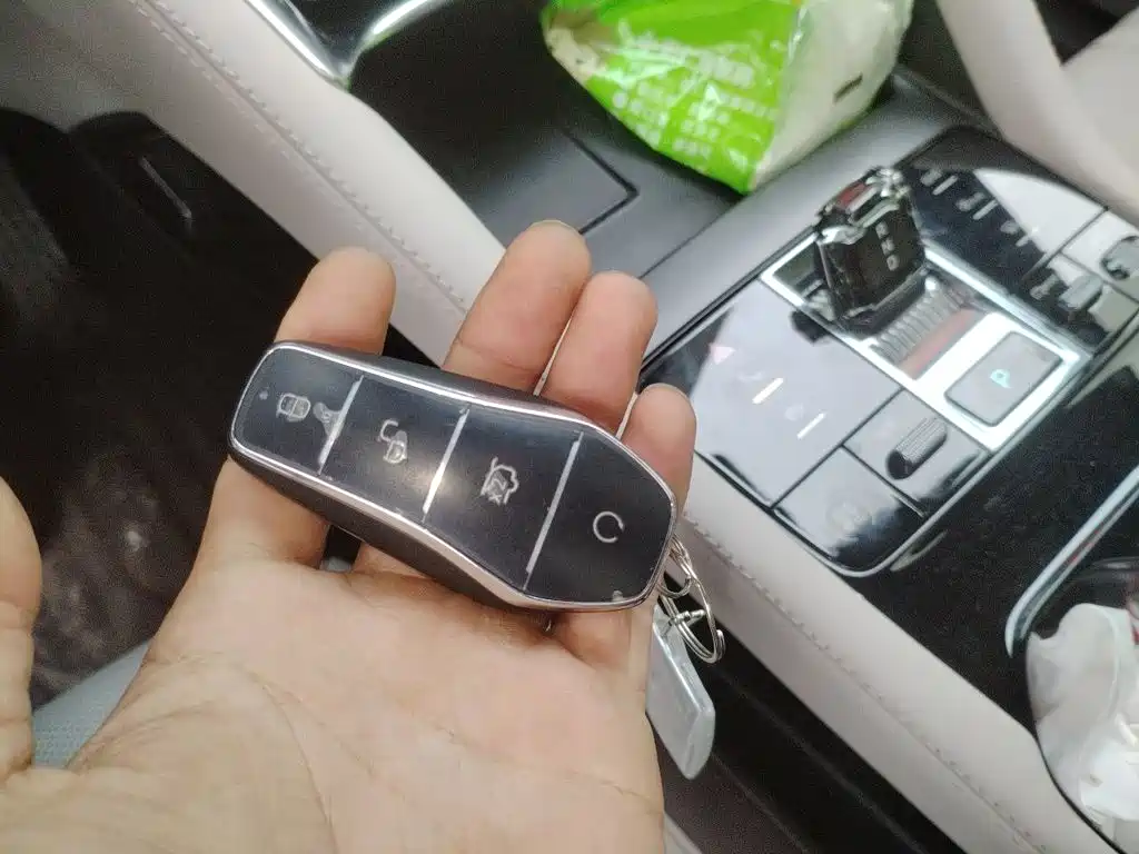 BYD Song PLUS PHEV 2025 2025 EV 520km Premium