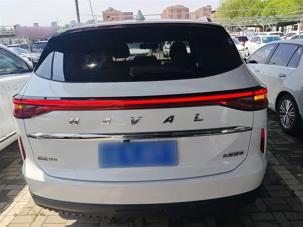 Haval H6 2021 3rd Gen 1.5T Auto 2WD Pro фото 6