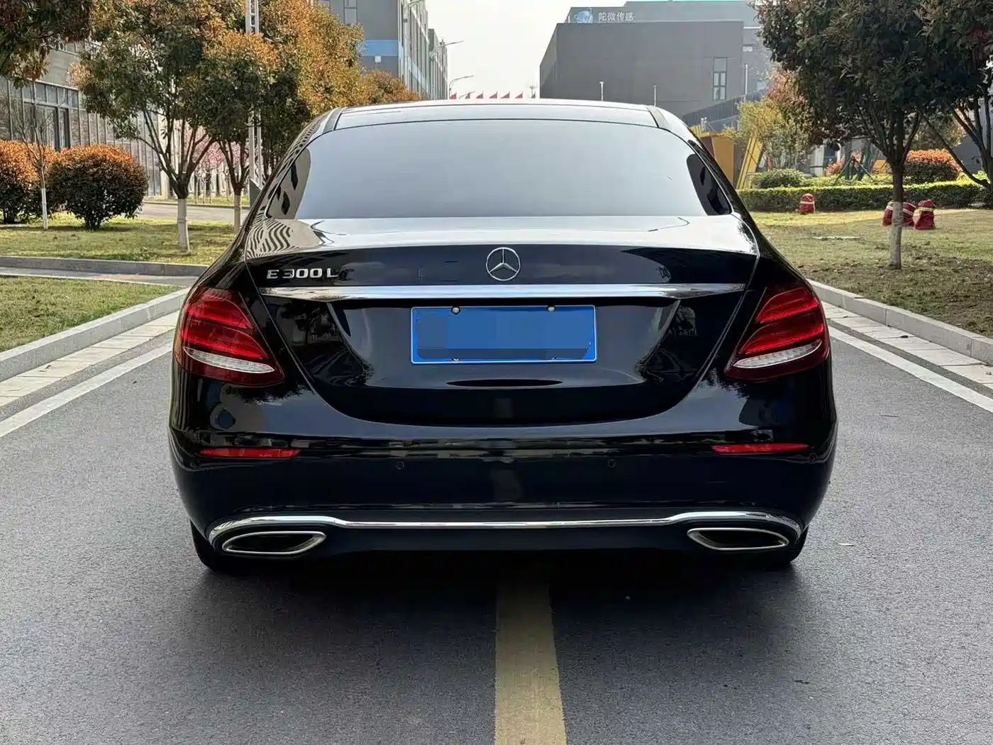 Mercedes-Benz E-Class 2020 E 300 L Luxury Model фото 5