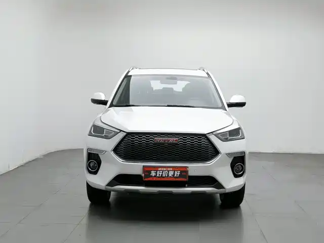 Haval H6 Coupe 2018 Red Label 1.5T Auto 2WD Ultra Luxury — фото 3
