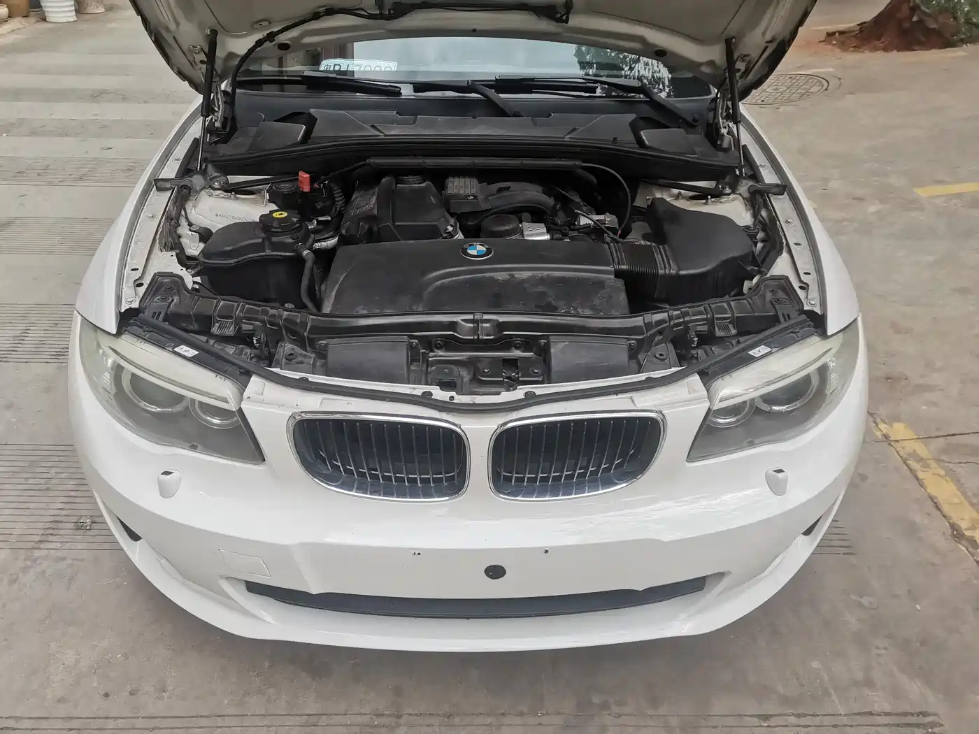 BMW 1 Series (Import) 2011 120i Convertible фото 12