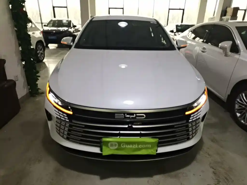 Фото 3 - BYD Destroyer 05
